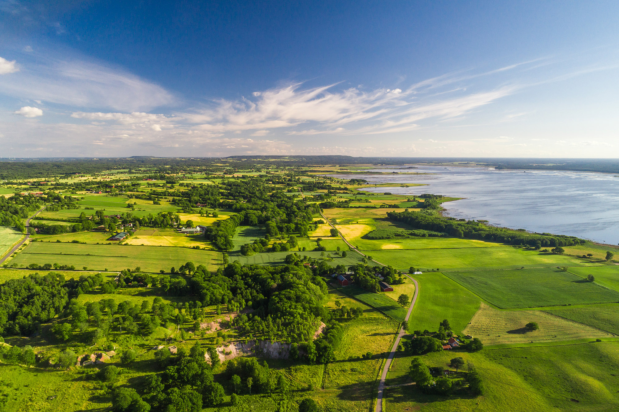 Lär dig mer om landskapet runt Hornborgasjön i vår guidning. Foto.