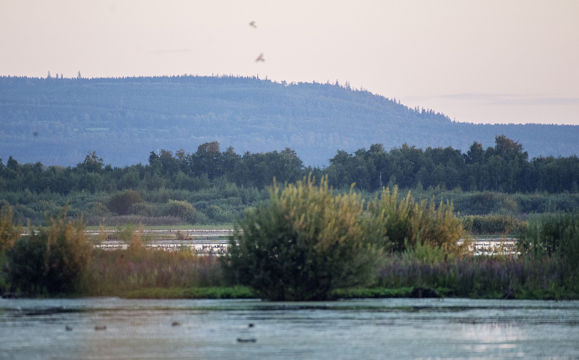 Under geologins dag kan du delta i en guidning där du bland annat kan lära känna platåbergen. På bilden syns platåberget Mösseberg. Foto.