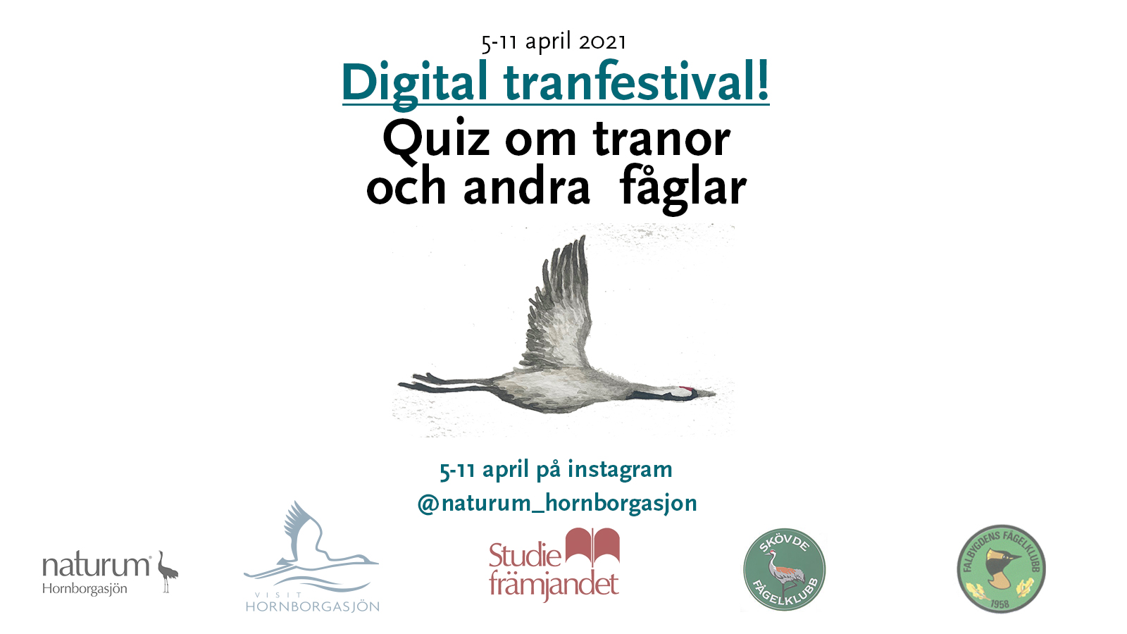 Poster om quiz på instagram. Affisch.