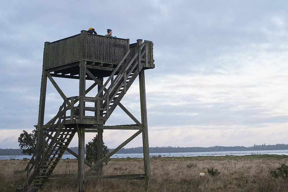 Two persons are standing in the bird-watching tower at Hånger. Photo.