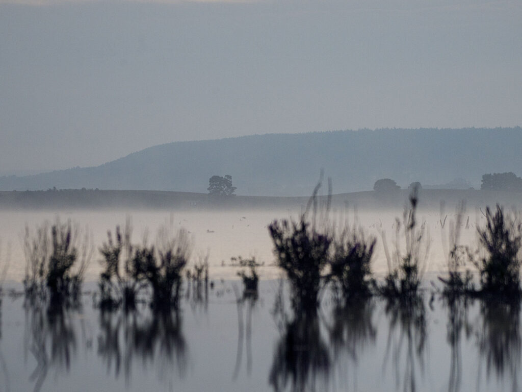 Platåberget Billingen är ett av de berg som omger Hornborgasjön. Foto.