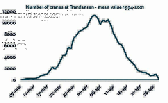 Graph that describes the number of cranes.