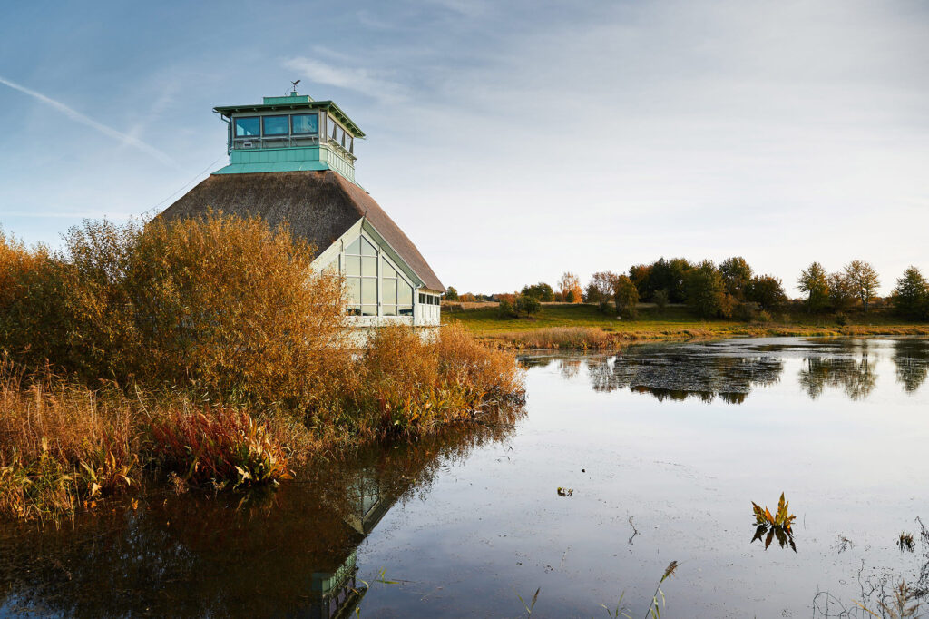 Naturum Hornborgasjön ligger byggt på pålar ute i Hornborgasjön. Foto.