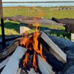 grillplats vid Hornborgasjön