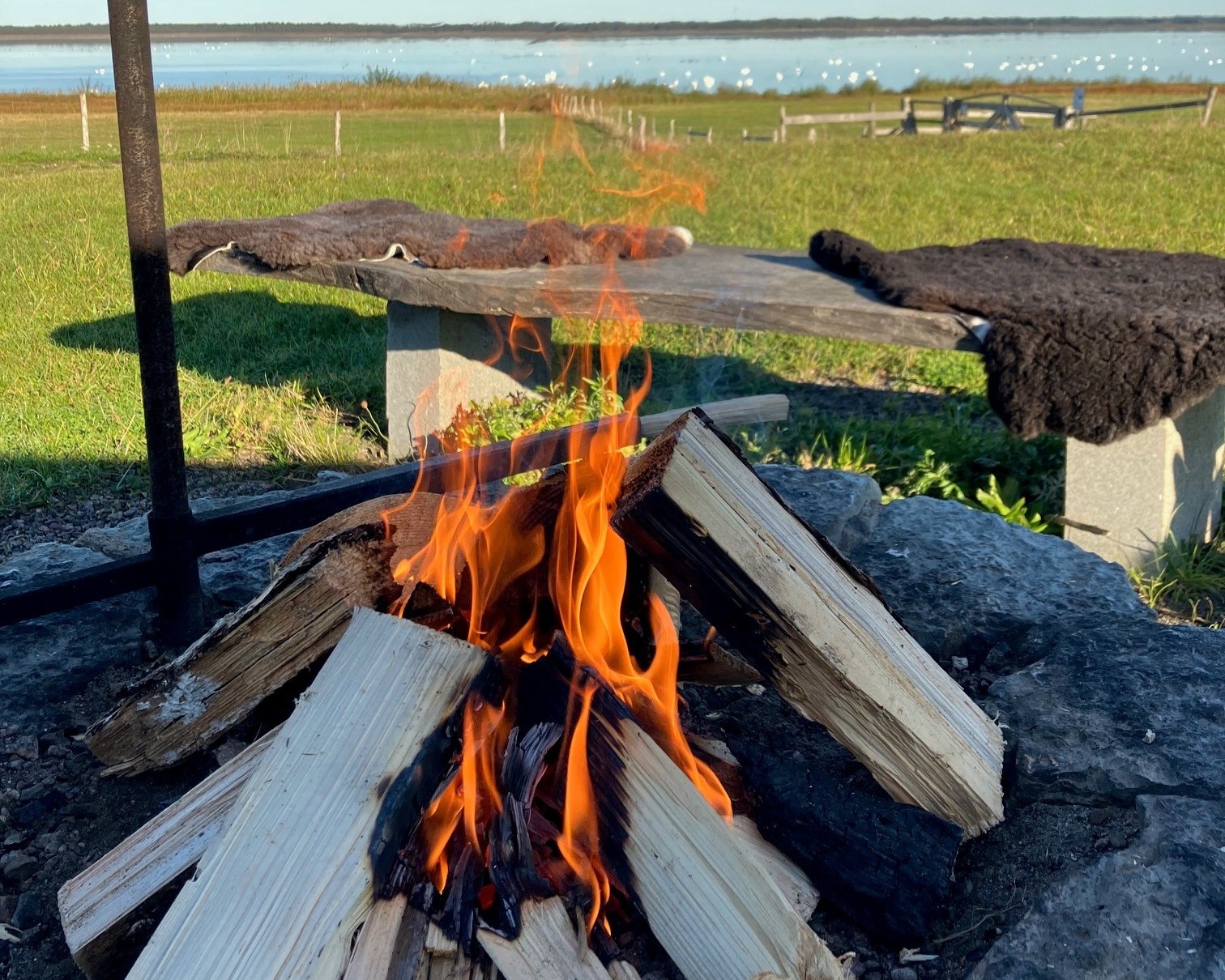 grillplats vid Hornborgasjön