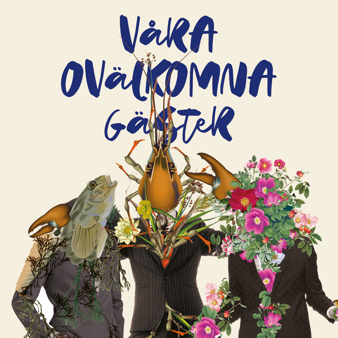 invasiva arter
